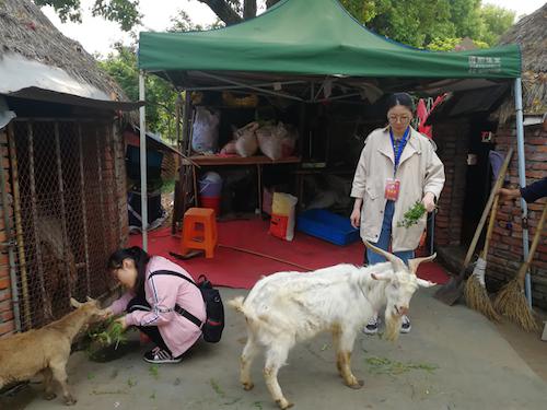 图片5