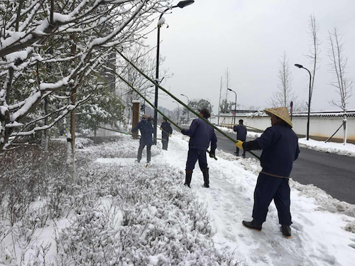 微信图片_20180131194530 微信图片_20180131194530
