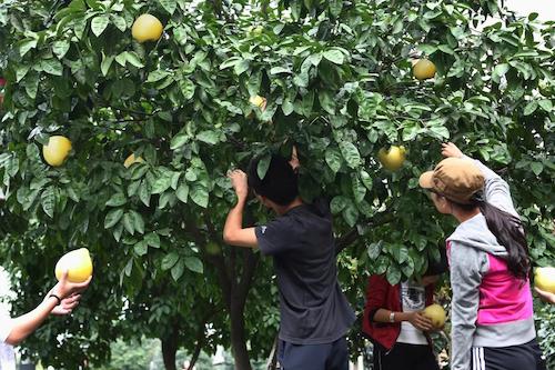 微信图片_20210330162309 微信图片_20210330162309