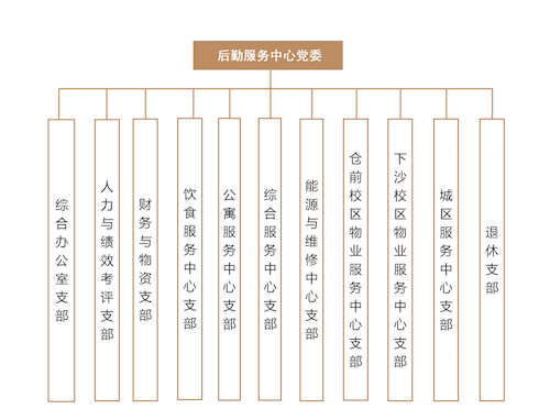 中心党委支部 中心党委支部