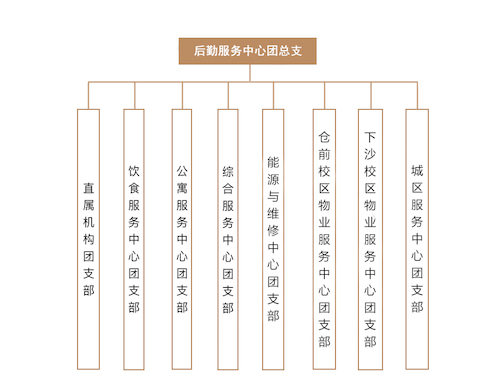 中心团总支