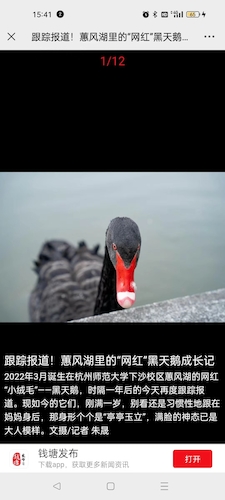 微信图片_20230330154225