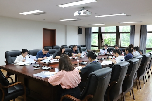 第三代表团 第三代表团