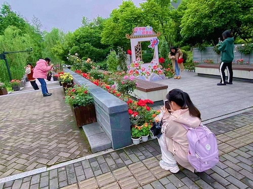13_副本 13_副本