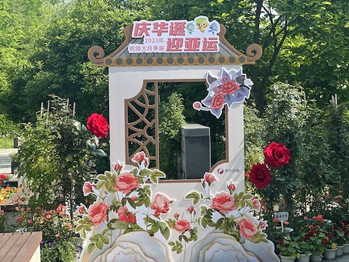 1_副本 1_副本