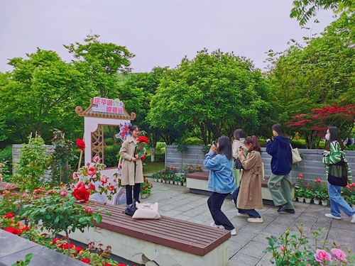 11_副本 11_副本