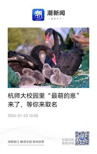 微信图片_20240126102719