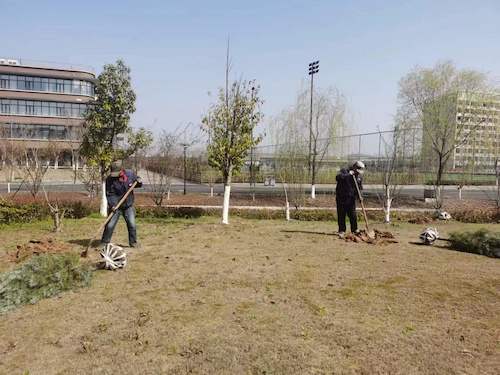 慎园3号楼周边种植生科院科研所需植物2