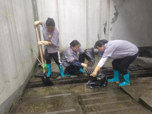 沟渠清淤2 沟渠清淤2