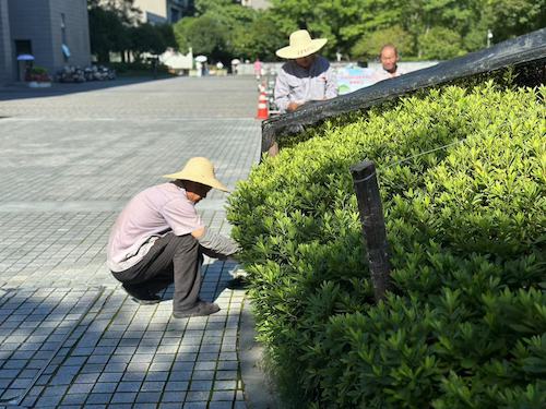 固定遮阳布3 固定遮阳布3