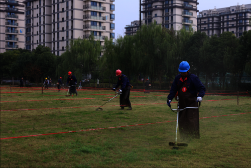 微信图片_20241125092350