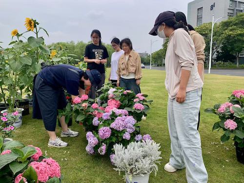 微信图片_2025-06-03_141422_010