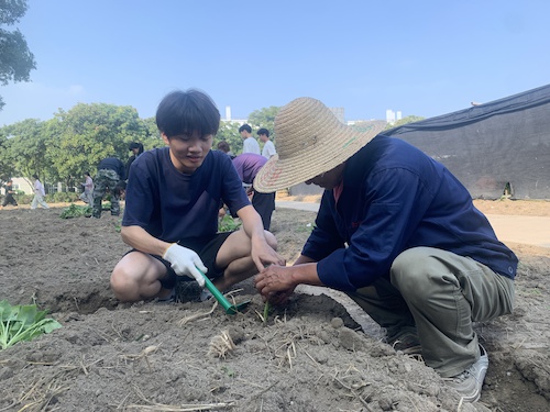 教学 教学