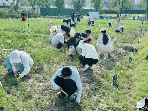 ccd31b53181bc1601fe3e495d86fedd5