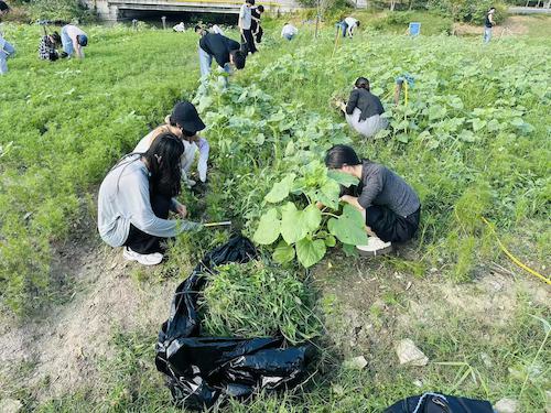 ecbc38e4efc9f47e2732f3158b57935a