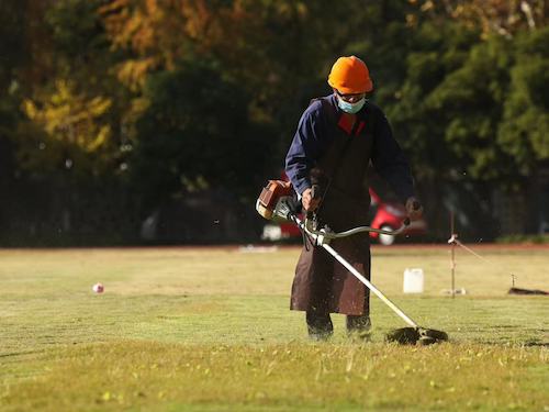 mmexport1764308154162 mmexport1764308154162