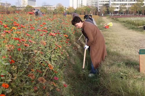 IMG_3416 IMG_3416