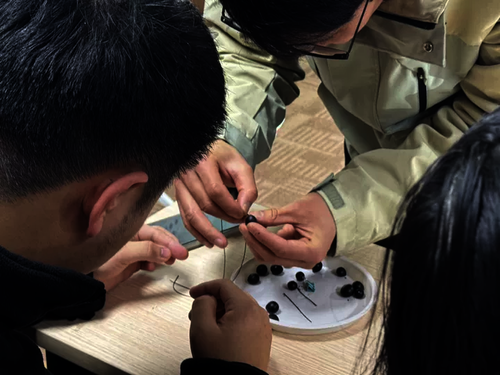 0f05e1f343ba4624afd0cf580fdaa423