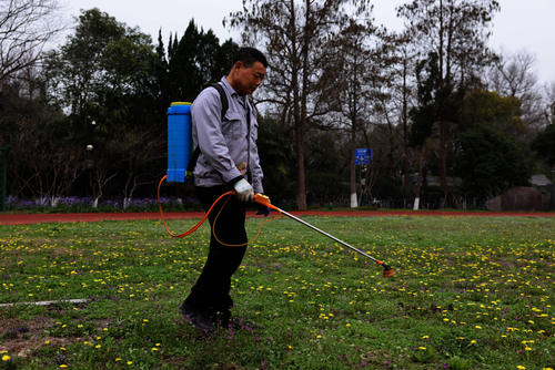 微信图片_20260309113623_64_2