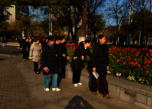 微信图片_20260312151623_93_2