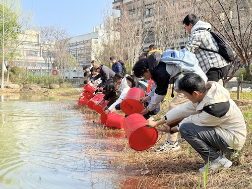 lQDPKGNKxpRf3vHNC9DND8CwvJBivjfKY0EJitpKxH40AA_4032_3024