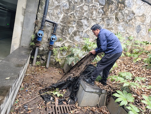 lQDPKIBht7-DD9nNA8PNBP-wiLHfpUBqjLIJkZsK83b8AA_1279_963