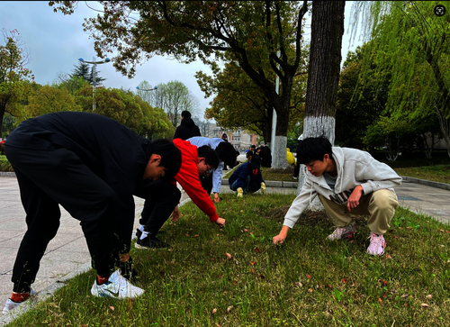 微信图片_20260413141621_8_2