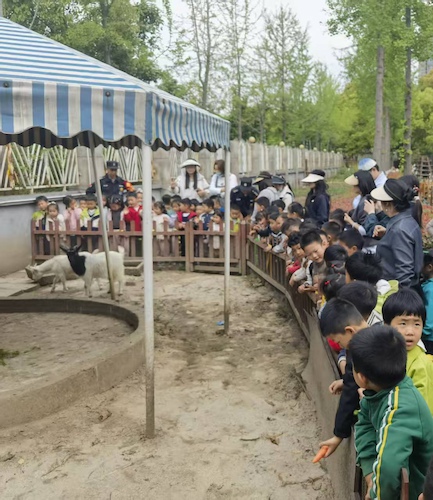 微信图片_20260409143539_416_335