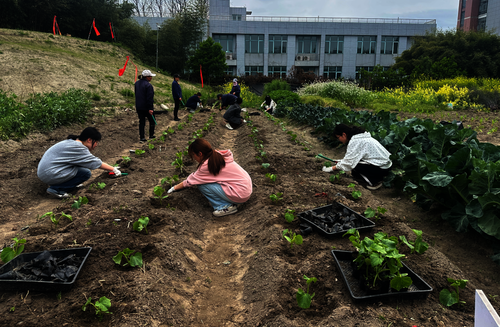 微信图片_20260413160149_14_2