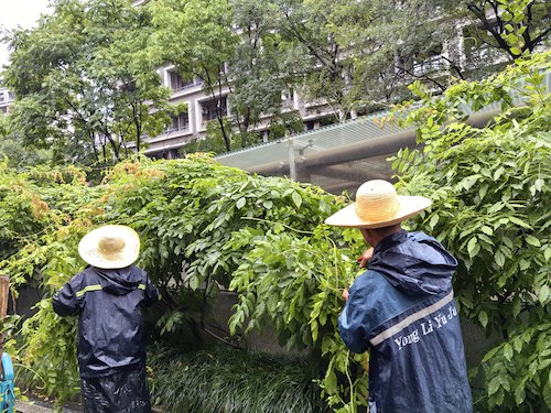file___media_Photo_3866_IMG_1781914869_3807_IMG_20260620_081929