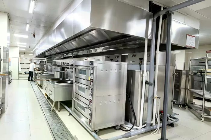 5.webp